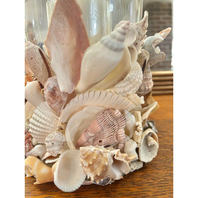 2020s Coastal Palm Beach Handcrafted Seashell Encrusted Glass Hurricane Candle Holder For Sale - Image 5 of 11