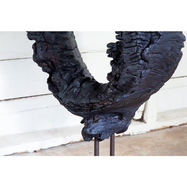 Wood Kandara Yakisugi Modern Organic Sculpture For Sale - Image 7 of 11