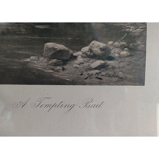 Hans Zatzka, Tempting Bait, 1905, Etching, Framed For Sale - Image 3 of 5