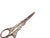 1920s Danish Art Nouveau Grapes Scissors, 1920s For Sale - Image 5 of 7