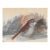 1940s Helen Beacham Bird Painting For Sale