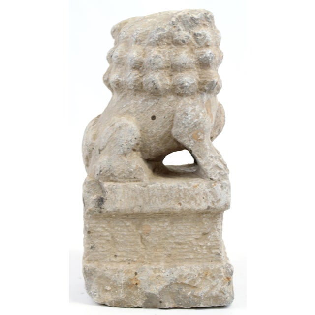 Stone Foo Dog Statue For Sale - Image 7 of 13