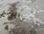 Textile Rh Restoration Hardware Riva Hand-Knotted Rug — 9' × 12' Dove/Wheat | Wool & Viscose Blend For Sale - Image 7 of 18