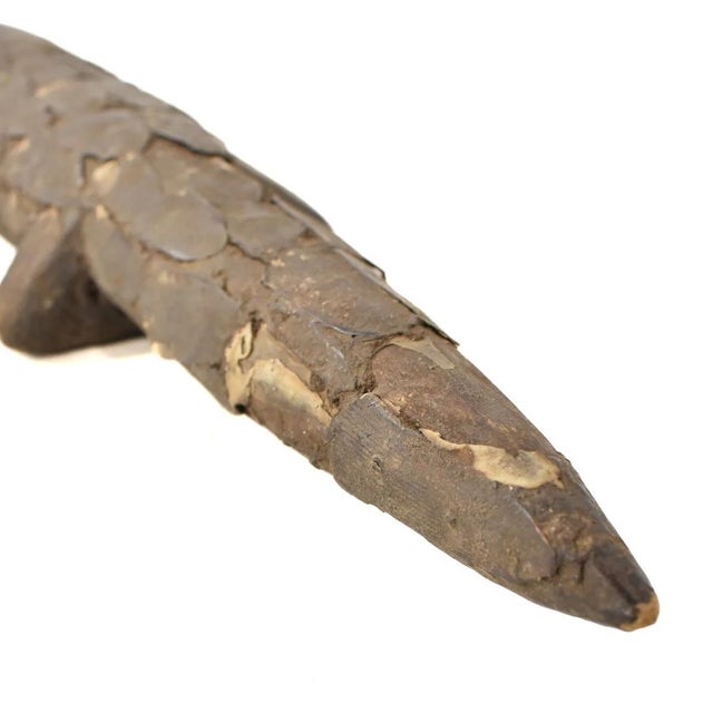 African Early 20th Century Lega Divination Lizard For Sale - Image 3 of 7