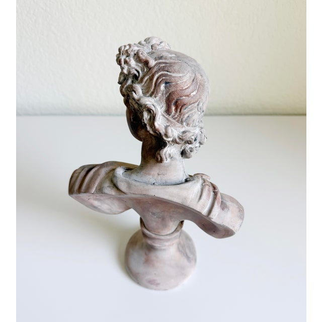 Ceramic Classical Bust of Apollo Belvedere, Early 21st Century For Sale - Image 7 of 12
