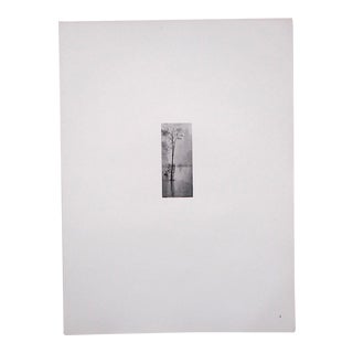 Ltd. Ed. Vintage Photograph By Alfred Stieglitz (USA 1864-1946)-"Spring Showers-New York" For Sale
