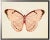 Horizontal Pink Butterfly 2 in Pewter Shadowbox - 25.5ʺ × 19.5ʺ For Sale