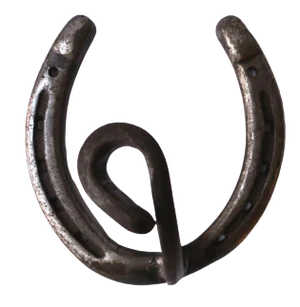 Horseshoe Wall Hook