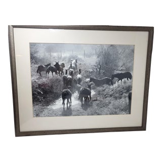 Vintage Signed Josef Scaylea Framed Black and White Photograph Print 13"x18" Roundup Okanogan County For Sale