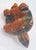 Vintage Hand-Carved Tigers Eye Miniature Turtle - Symbol of Tranquility and Steadfastness; Said to Teach You to Take Your Time and Enjoy Life For Sale - Image 9 of 18