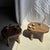 Brutalist Small Oval Teak Occasional Stool For Sale - Image 3 of 18