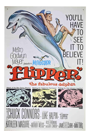 Flipper the Fabulous Dolphin Poster, 1963