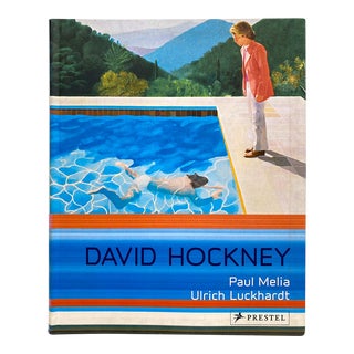 David Hockney Vintage First Edition Softcover Monograph Survey Pop Art Book For Sale