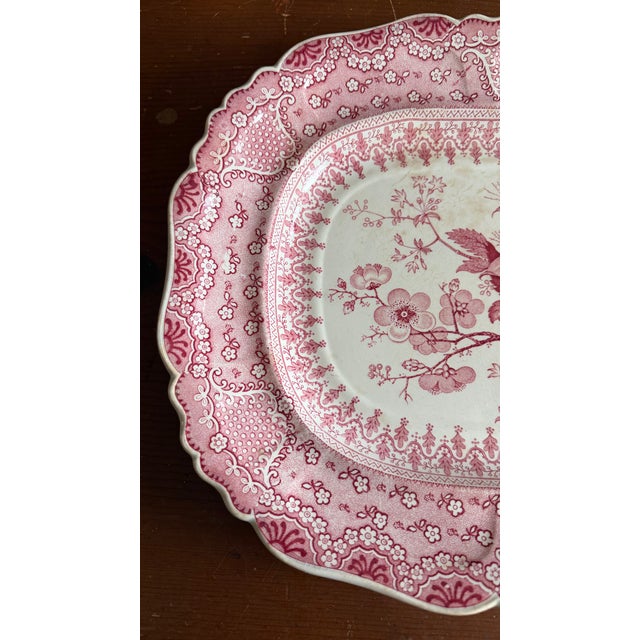 Staffordshire A Very Fine Antique Pink Transferware Decorated Staffordshire Platter "Asiatic Plants" Pattern, Circa 1840's For Sale - Image 4 of 14
