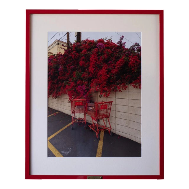 Bougainvillea With Shopping Carts - Framed Limited Edition Photography Print With Vintage Brass Plate For Sale
