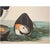 1960s 1966 Large-Billed Puffins After John James Audubon, XL Print For Sale - Image 5 of 9