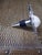 Tommy Bahama Coastal Hermit Crab Wine Bottle Stopper For Sale - Image 4 of 6