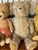 Late 19th Century Cute Antique Teddy Bears Collection With Bench For Sale - Image 5 of 9