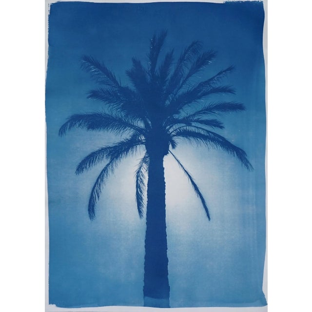2020 Cairo Citadel Palm, Hand-Painted Cyanotype Print on Watercolor Paper For Sale