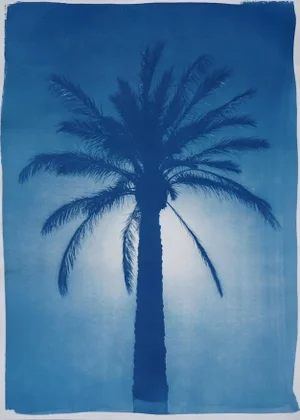 2020 Cairo Citadel Palm, Hand-Painted Cyanotype Print on Watercolor Paper