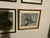 Campaign 1917 Vintage DuPont Promotional Game Bird Framed Prints by Hunt & DeFeo - Set of 4 For Sale - Image 3 of 13
