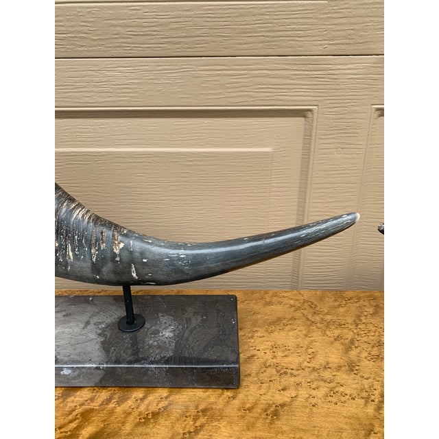 Pair of Vintage Faux Ram Horn Sculptures on Black Marble Bases For Sale - Image 11 of 16