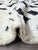 Contemporary Handmade Berber Wool Rug - 8.1 X 6.3 Ft For Sale - Image 3 of 8