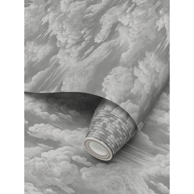 Kipling Clouds Etching Removable Wallpaper – Vintage Gray Single Roll For Sale - Image 4 of 7
