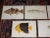 This set of ten (10) authentic 19th century chromolithographs (each color laid in with a separate lithographic stone)...