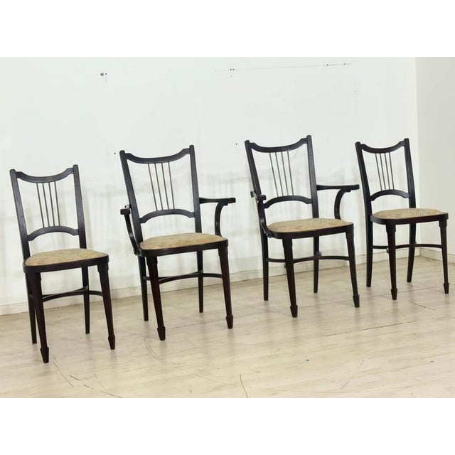 Viennese Art Nouveau Dining Chairs with Brass Backrests from Thonet, 1900s, Set of 4 For Sale - Image 4 of 17