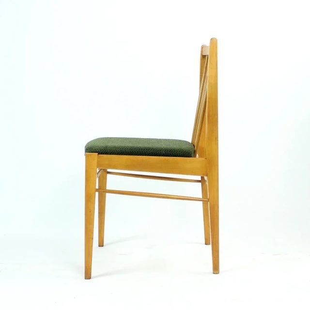 Czechoslovakian Blond Dining Chairs from Drevospoj, 1960s, Set of 4 For Sale - Image 11 of 14