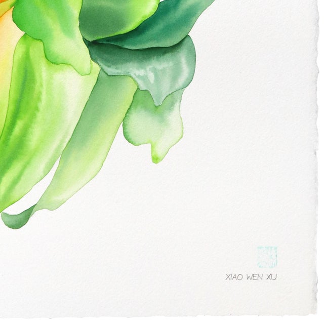Rainbowland Chrysanthemum II - Original Botanical Floral Watercolor Painting on Paper by Xiao Wen Xu For Sale - Image 4 of 6