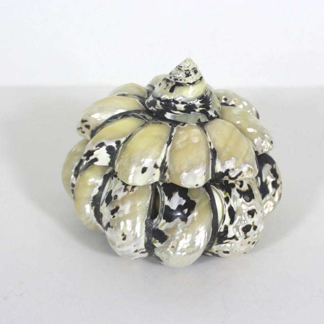 Nautical Vintage Shell Trinket Box For Sale - Image 3 of 10