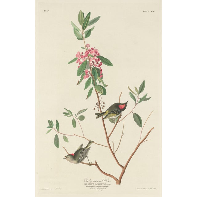 1960s Vintage John James Audubon Reproduction Prints —Grouse, Shrike, Finch, Titmouse, Wren, Falcon, Crossbill and Warbler - Collection of 4 For Sale - Image 5 of 9