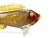 Late 20th Century Late 20th Century Large Italian Murano Fish Sculpture Glass Art For Sale - Image 5 of 9