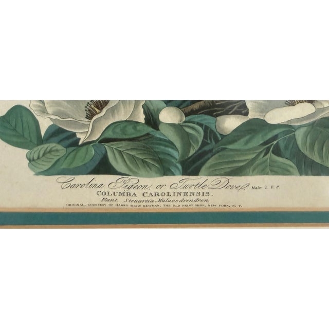 Mid 20th Century Pair of Vintage Framed Bird Illustration Lithographs by John James Audubon For Sale - Image 5 of 16