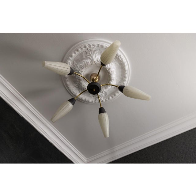 Metal Mid-Century Modern German Sputnik Chandelier, 1950s For Sale - Image 7 of 18