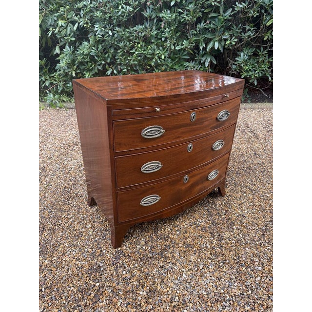 Georgian Mahogany Bow-Fronted Chest of Drawers, 1820s For Sale - Image 3 of 11