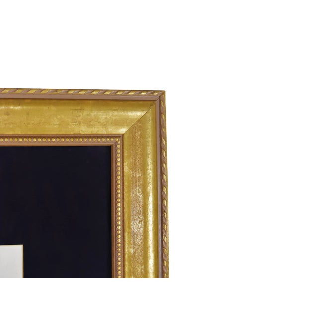 Late 20th Century Vintage Watercolor Tropical Parrot Painting by Ida Bradley For Sale - Image 5 of 7