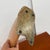 Reclaimed Live Edge Wood Sculpture + Stone Base For Sale - Image 10 of 12