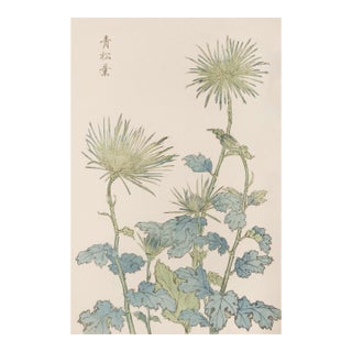 Two Wildflowers by Hasegawa, Vintage Japanese Botanical Art Print, 20" X 30" For Sale