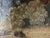 19 Th C German Still Life on Canvas in Gilded Frame For Sale - Image 9 of 16