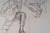 Evelyne Luez, Two Musicians, 20th Century, Pencil on Paper For Sale - Image 4 of 9