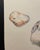 Contemporary 1967 Neil Meitzler Stone Still Life Drawing For Sale - Image 3 of 4