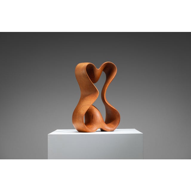 Unknown, Abstract Sculpture with Organic Flowing Curves, 1960s, Teak For Sale - Image 10 of 18