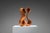 Unknown, Abstract Sculpture with Organic Flowing Curves, 1960s, Teak For Sale - Image 10 of 18