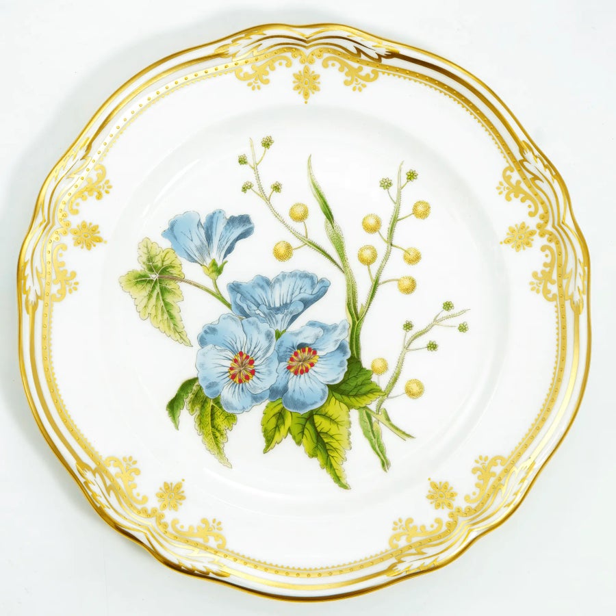 1980s Spode Stafford Flowers Sida & Acacia English Bone China