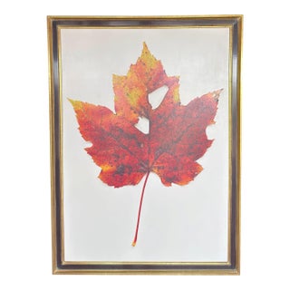 Large-Scale Ron Klein Realist Botanical Leaf Painting For Sale