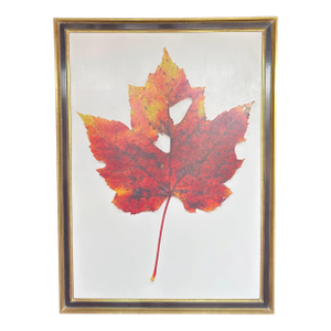 Large-Scale Ron Klein Realist Botanical Leaf Painting