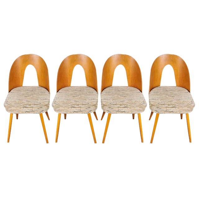 Dining Chairs by Antonin Suman, 1960s, Set of 4 For Sale